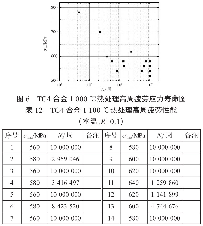 t6-b12.jpg