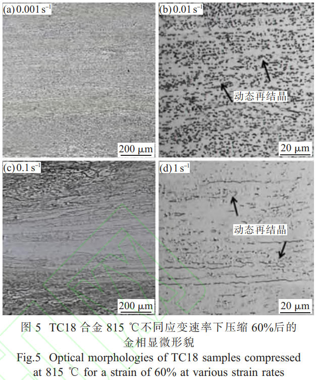 ؈D20250505212012.png